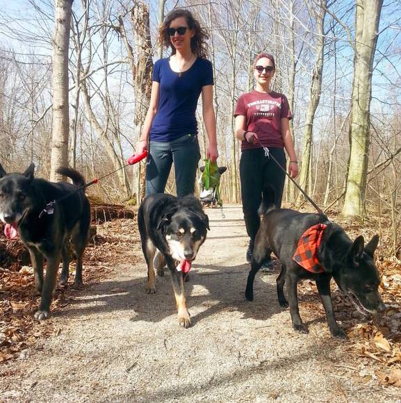 Meet your Posher, Brianna - Picture 1 of 1